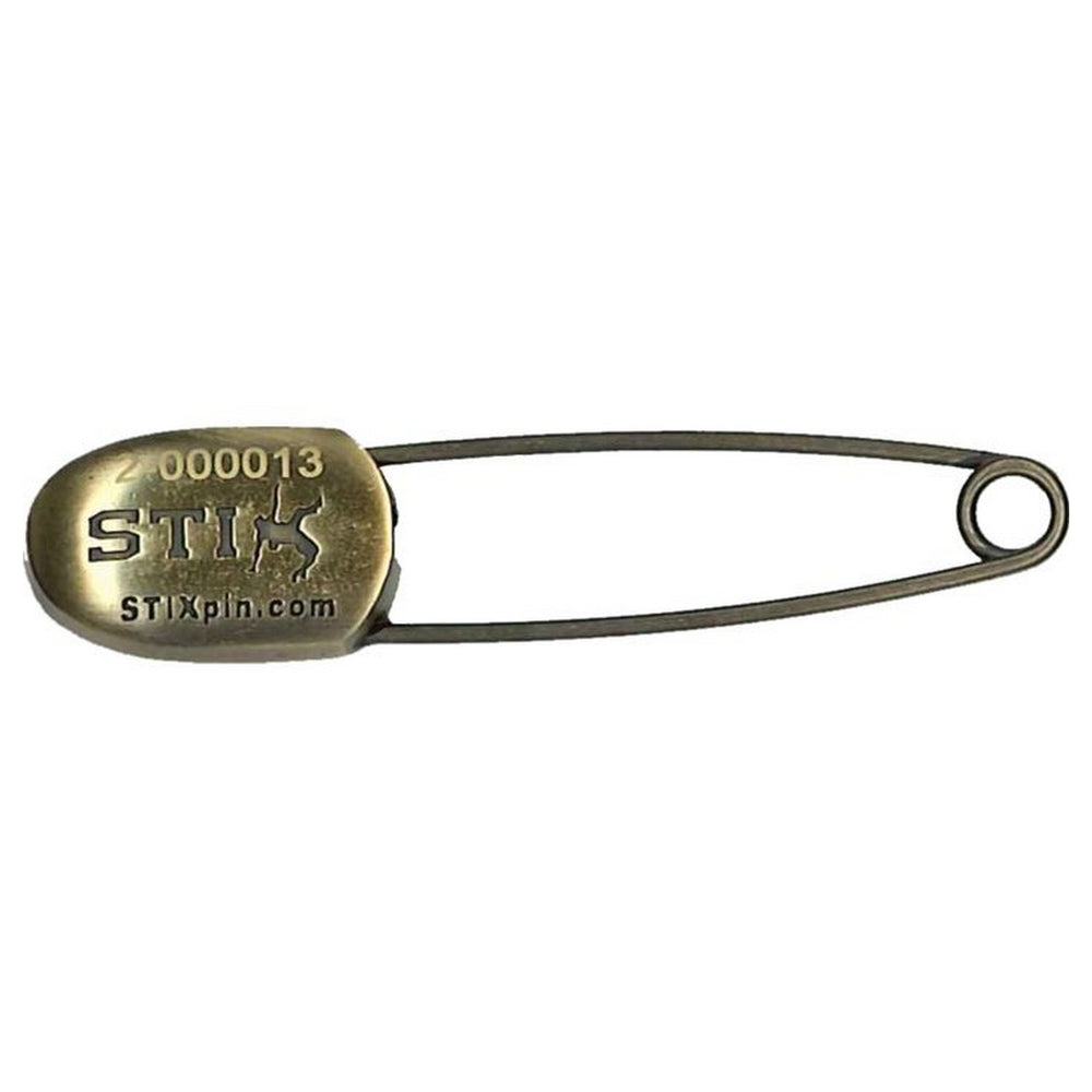 Stix Award Pin